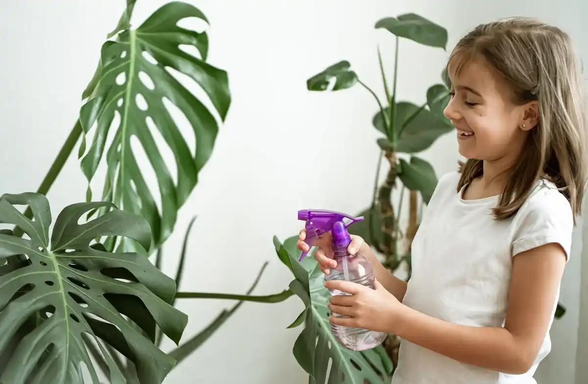 houseplants pests prevention