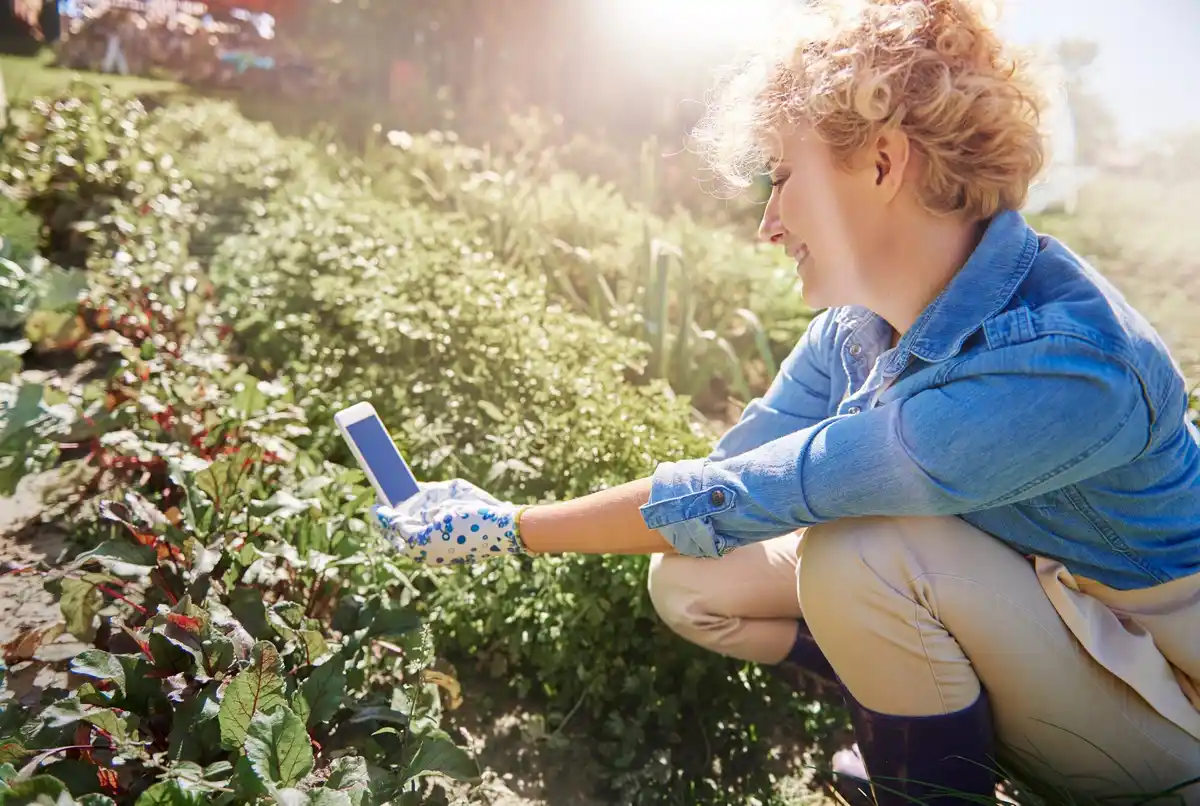 plant disease prevention garden Czech Republic