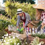backyard makeover simple DIY garden