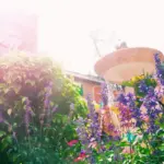 beautiful Czech garden backyard with flowers and lighting