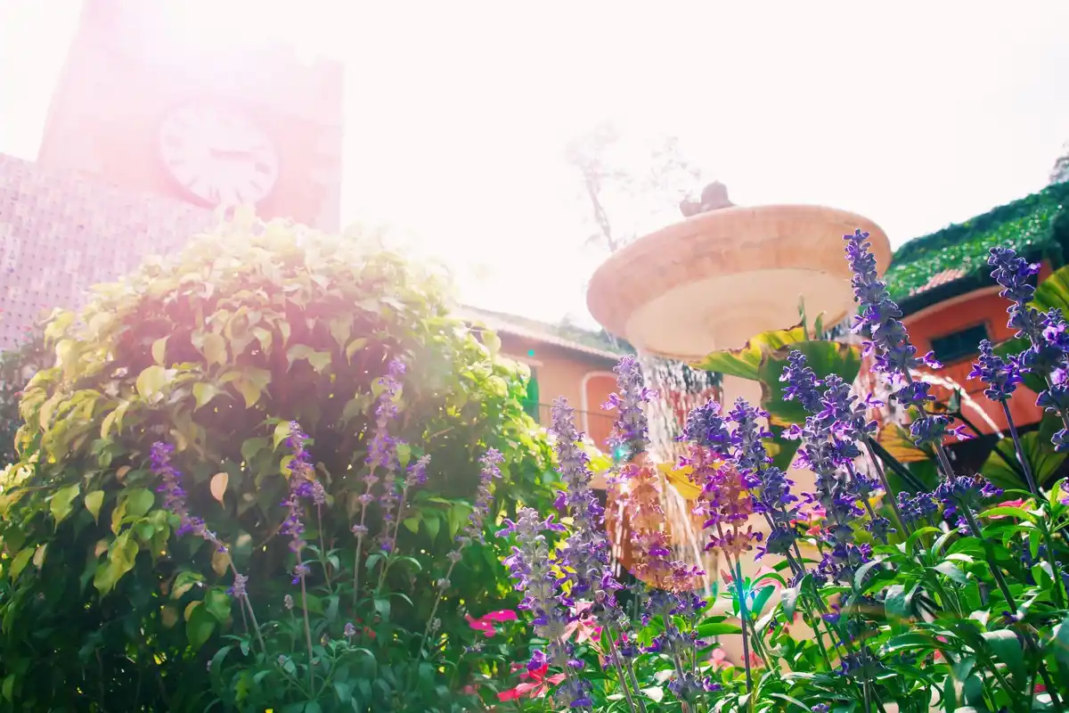 beautiful Czech garden backyard with flowers and lighting