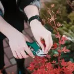 garden design mistakes landscaping