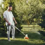 beautiful green lawn garden care