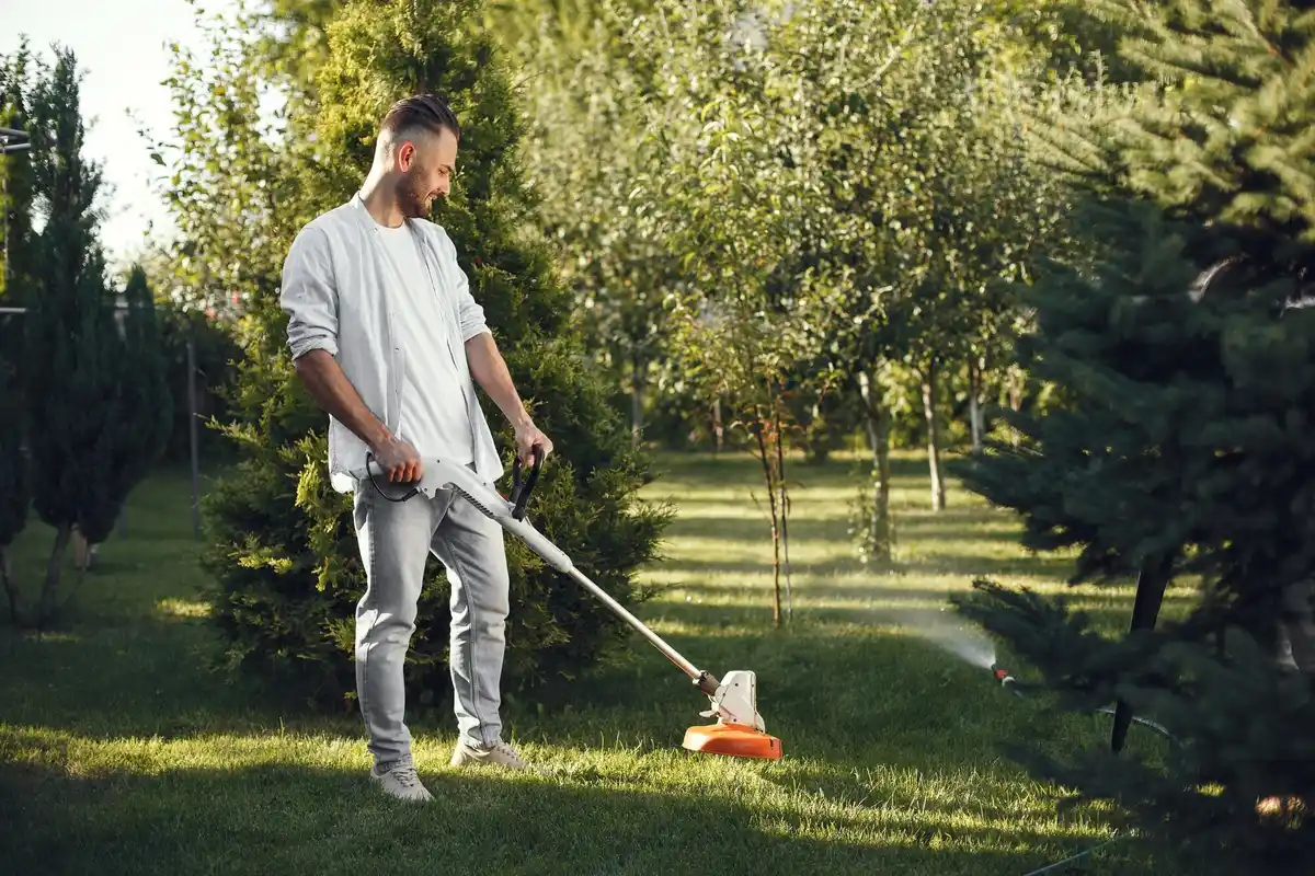 beautiful green lawn garden care