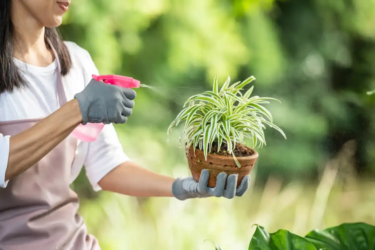 garden pests prevention organic gardening