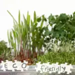 eco friendly plant protection garden