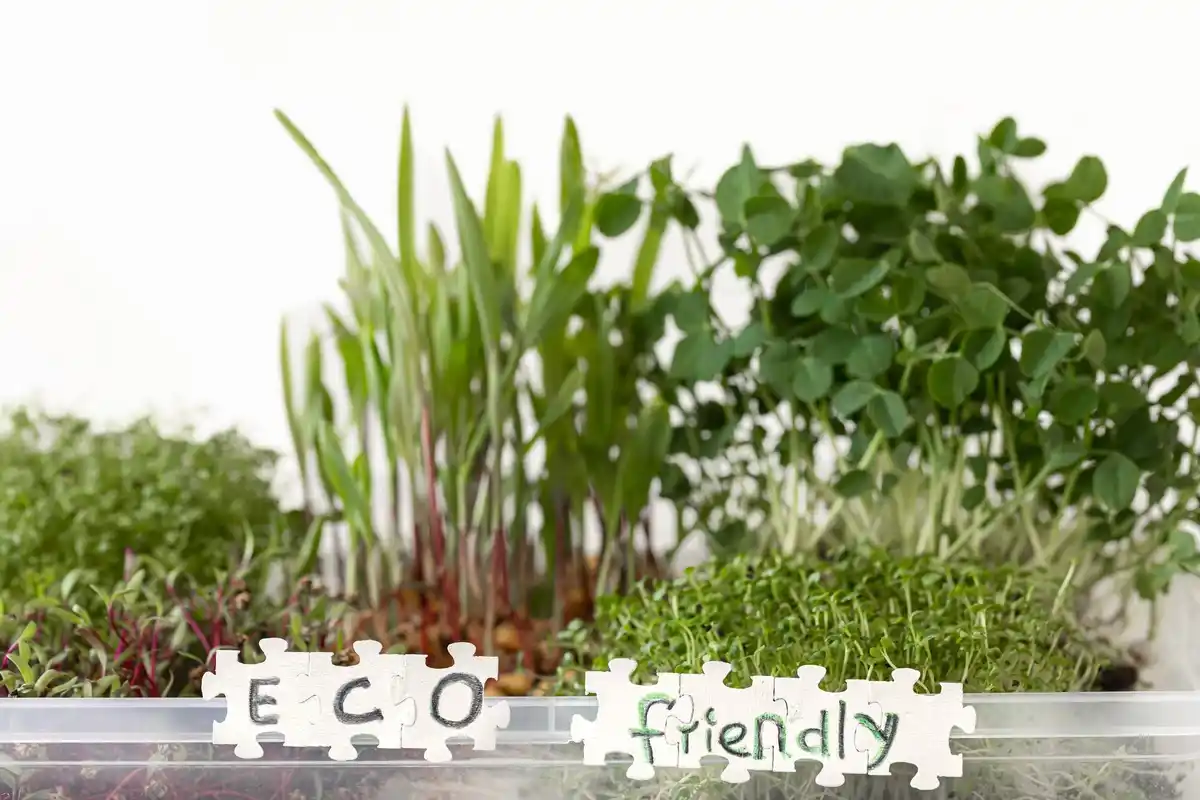 eco friendly plant protection garden