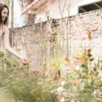small urban garden relaxation nature