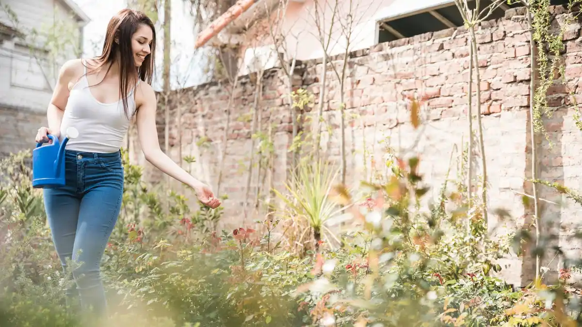 small urban garden relaxation nature
