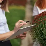 common garden design mistakes