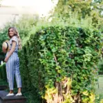 beautiful outdoor garden plants backyard