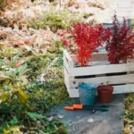 rustic garden landscaping natural materials Czech Republic