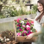 beautiful flower garden easy maintenance