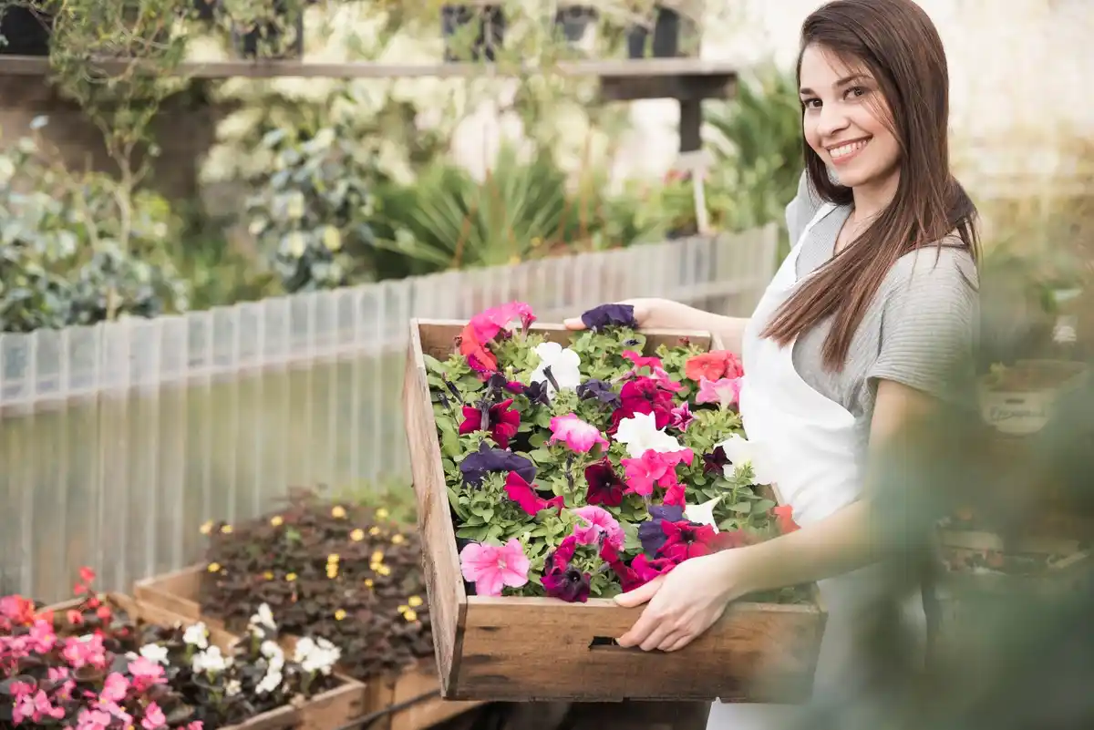 beautiful flower garden easy maintenance