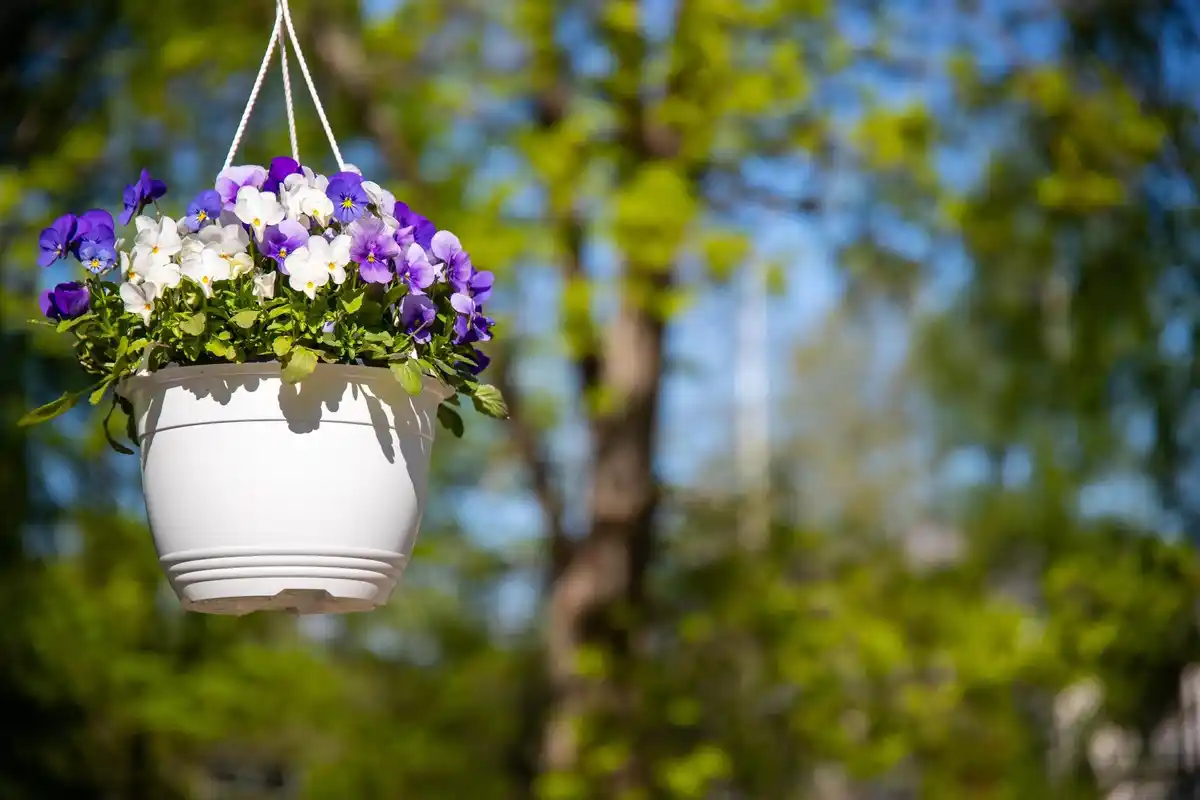 beautiful easy garden flower bed Czech backyard