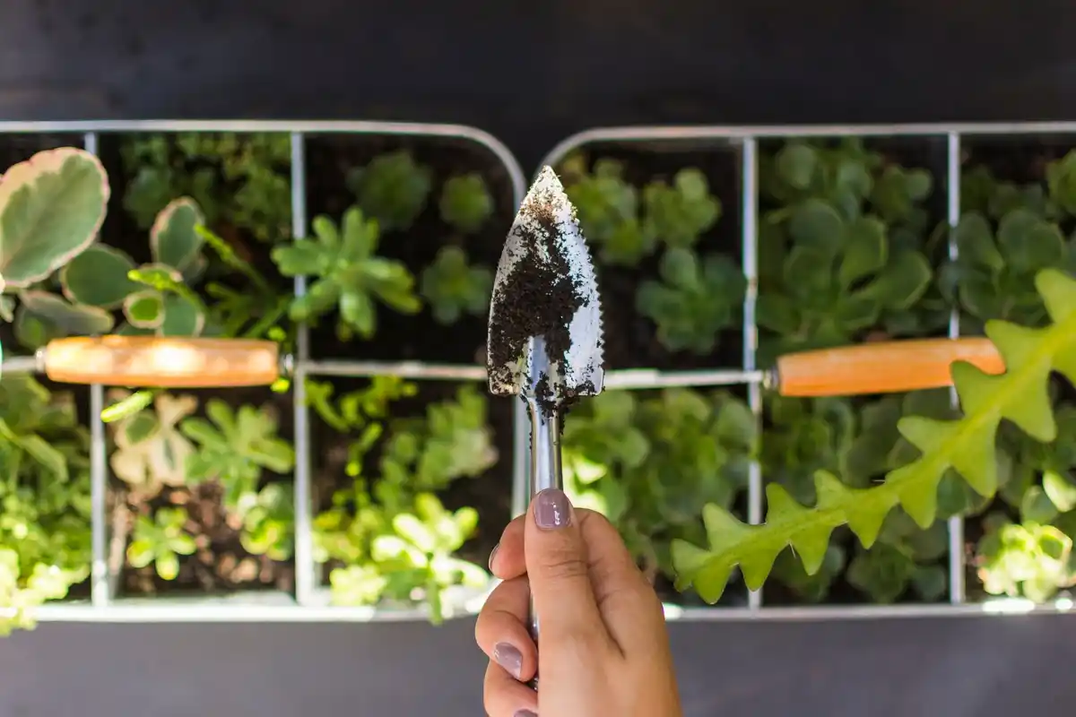 garden design mistakes