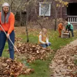 garden mistakes simple tips backyard Czech Republic