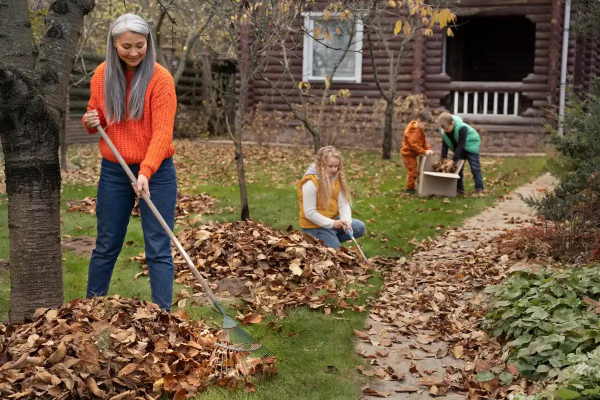 garden mistakes simple tips backyard Czech Republic