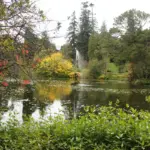 beautiful garden plants Czech Republic