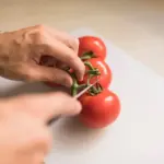 tomato gardening mistakes