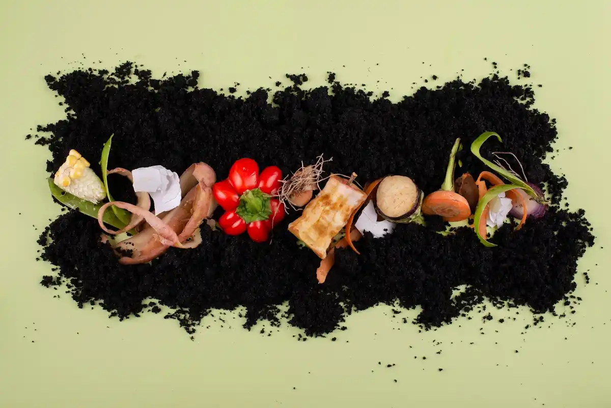 garden compost vegetable growth