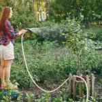 irrigation system garden backyard hose