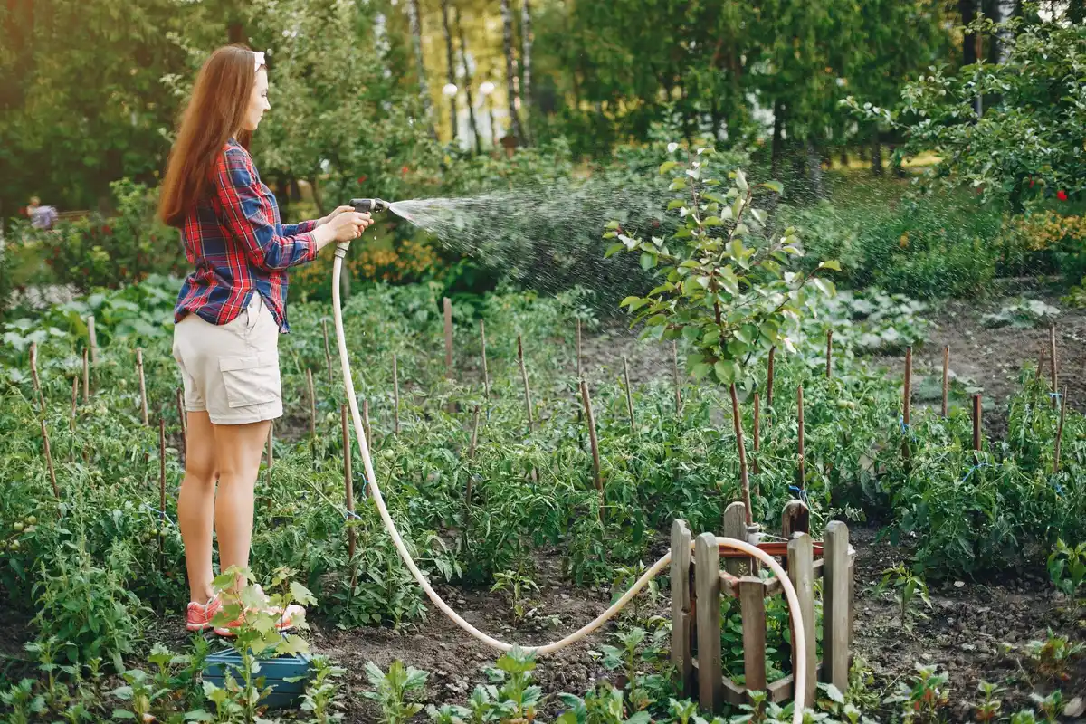 irrigation system garden backyard hose