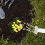 automated garden irrigation system Czech garden backyard