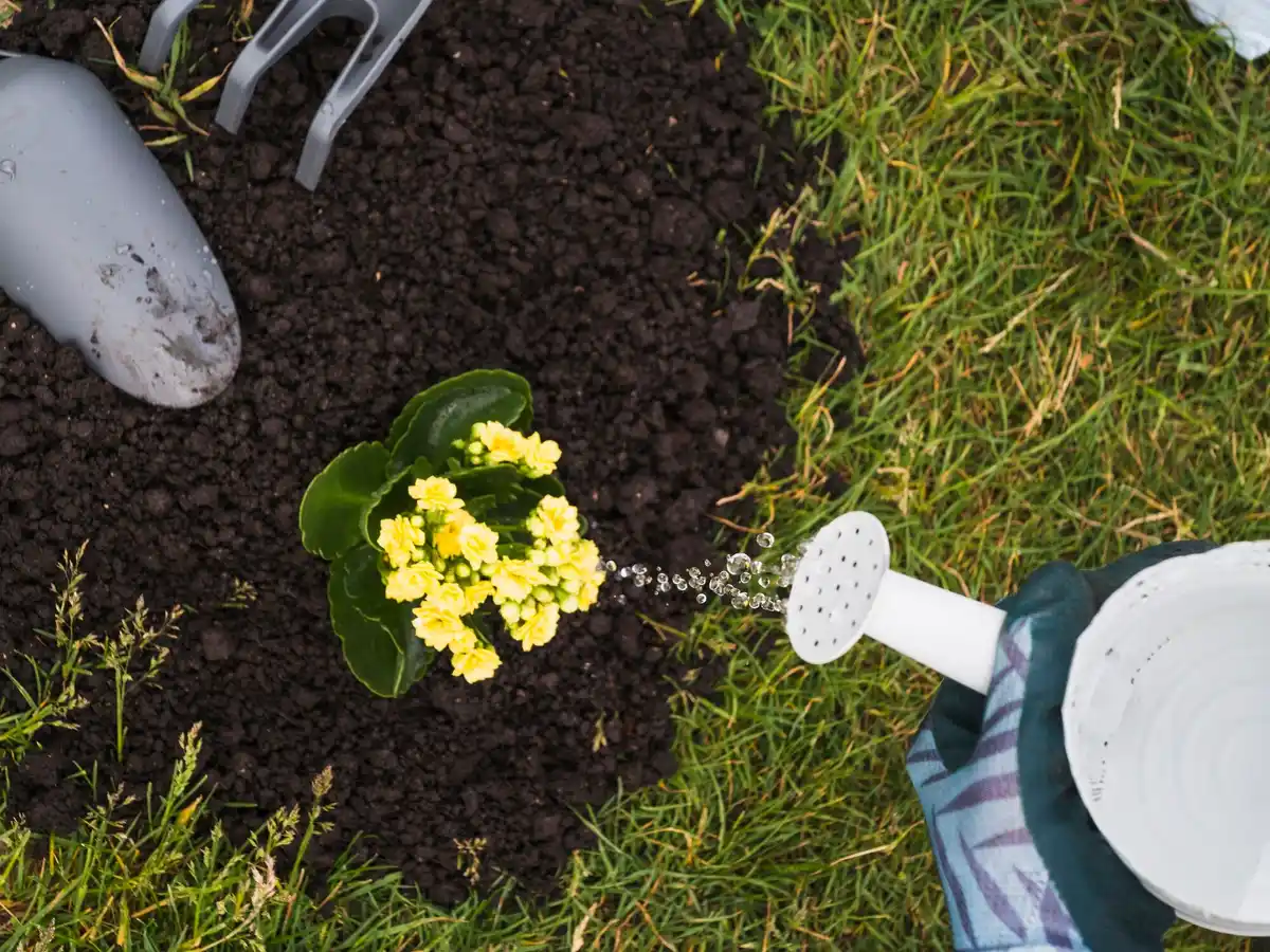 garden irrigation system automatic watering