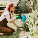 garden irrigation tips automatic watering system