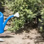 automatic garden irrigation system