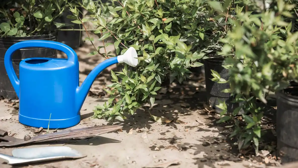automatic garden irrigation system