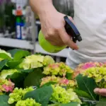 automatic garden irrigation system