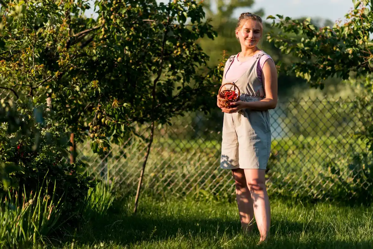 Czech garden fruit trees backyard orchard