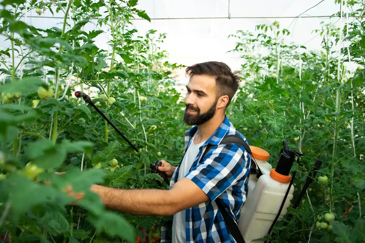 organic garden pest control natural methods