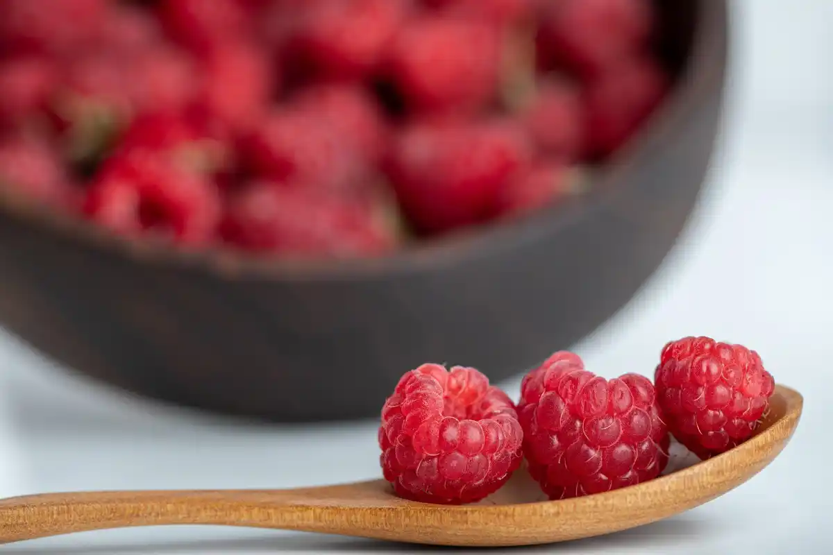 sweet raspberries growing in garden
