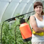 garden pests fruit damage organic gardening