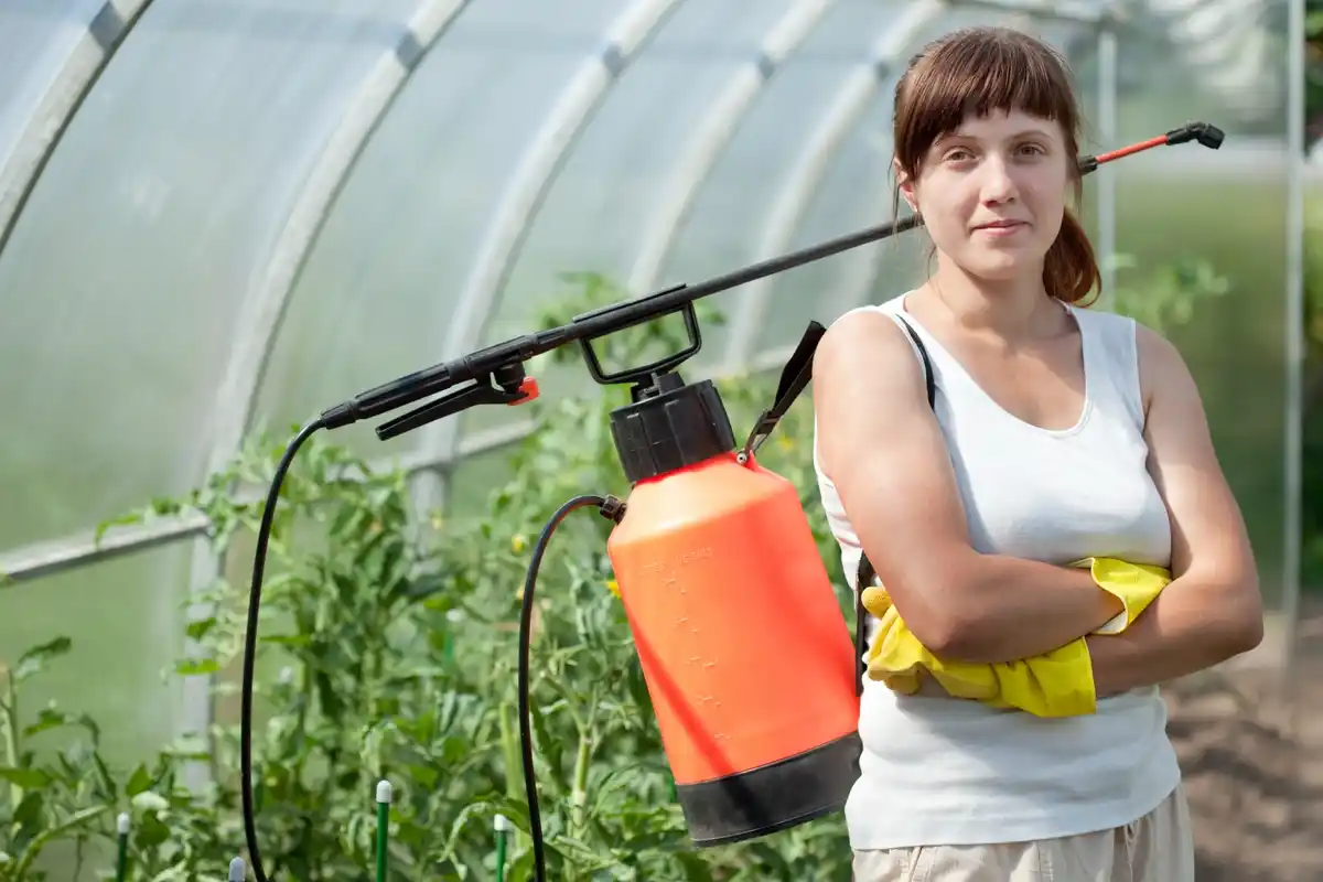 garden pests fruit damage organic gardening