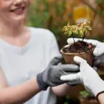 natural plant protection garden organic methods