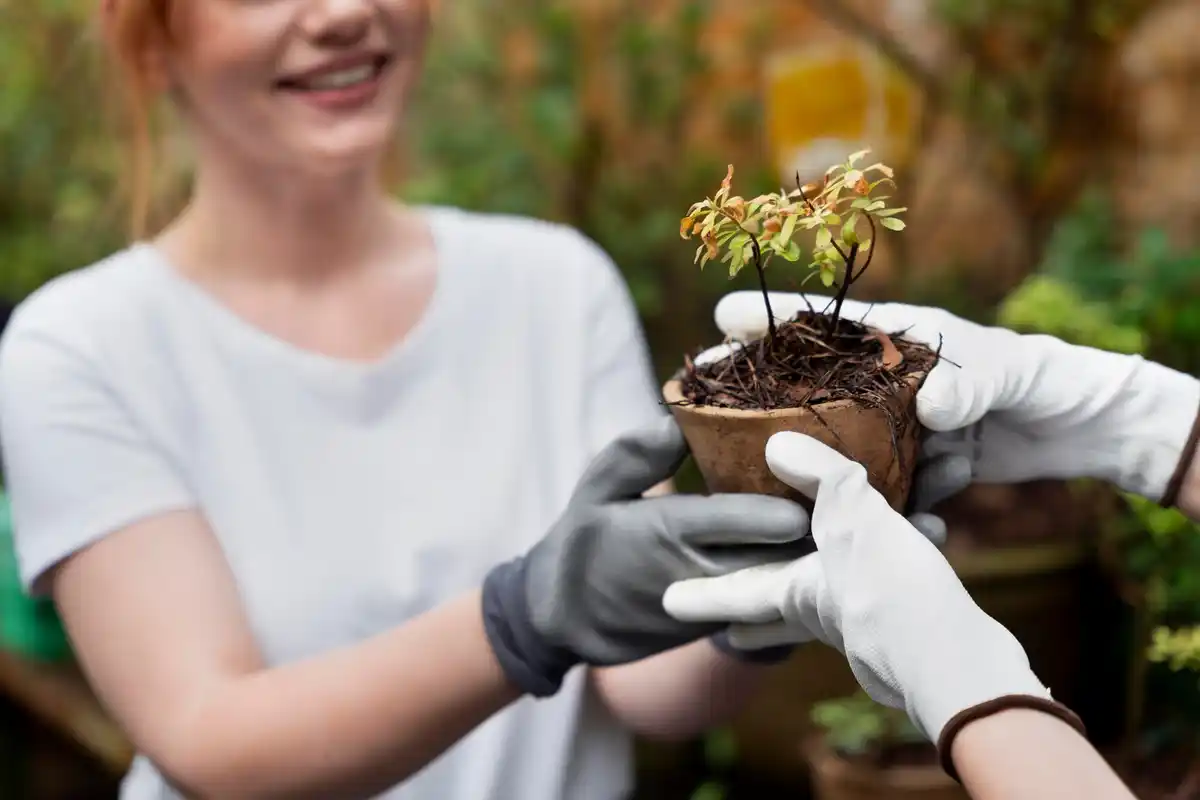 natural plant protection garden organic methods