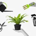 garden plant care tips