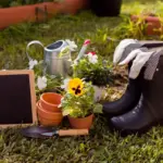 easy garden flower bed ideas