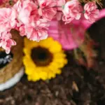 flower garden bed arrangement beautiful colorful