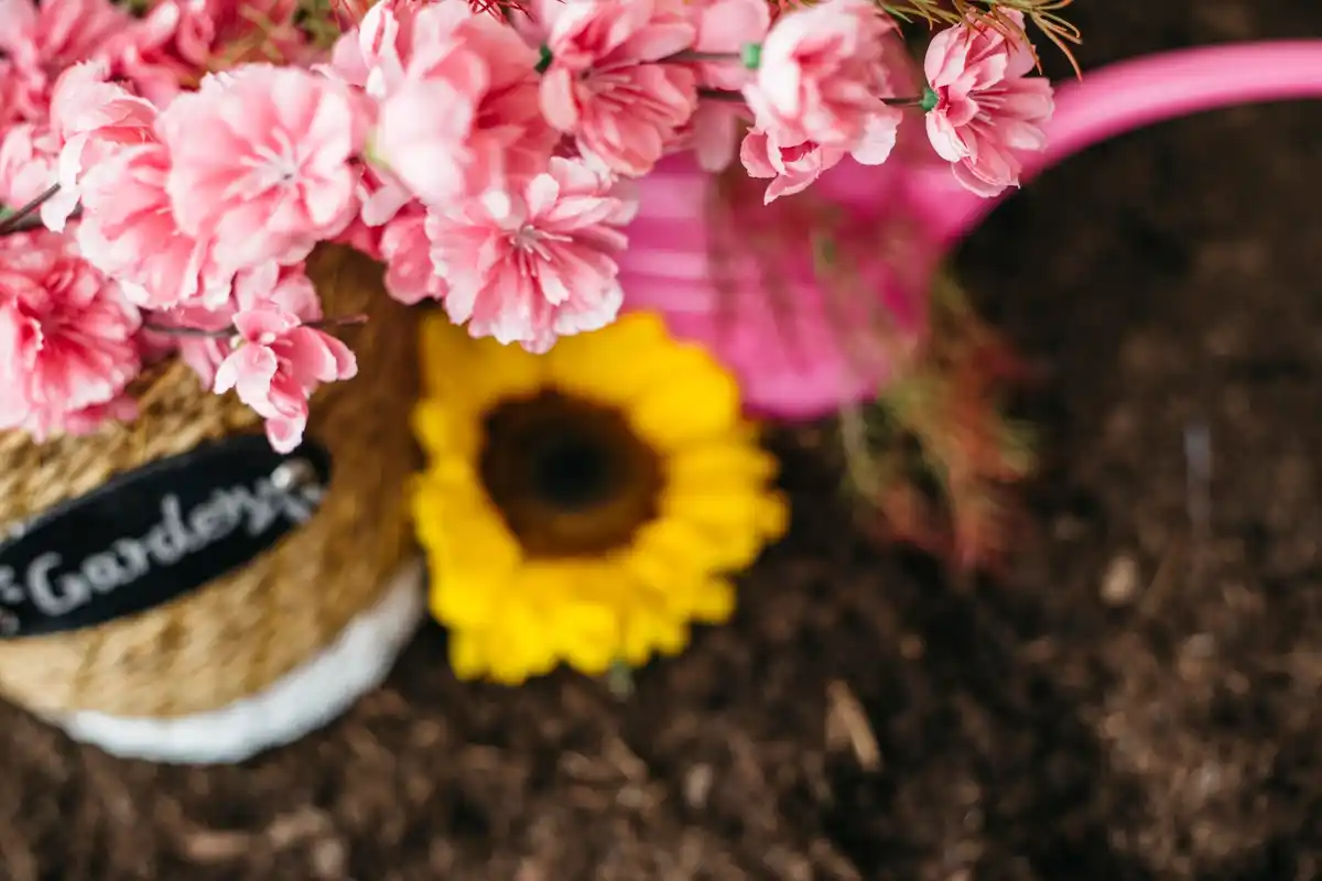 flower garden bed arrangement beautiful colorful