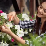 balkonové květiny letní péče zahrada balkon flowers summer care