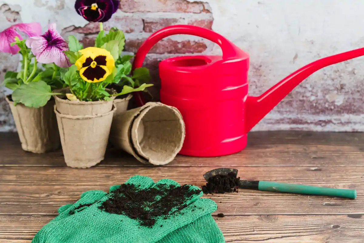 eco friendly garden backyard planting compost