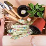 organic vegetable gardening mistakes home