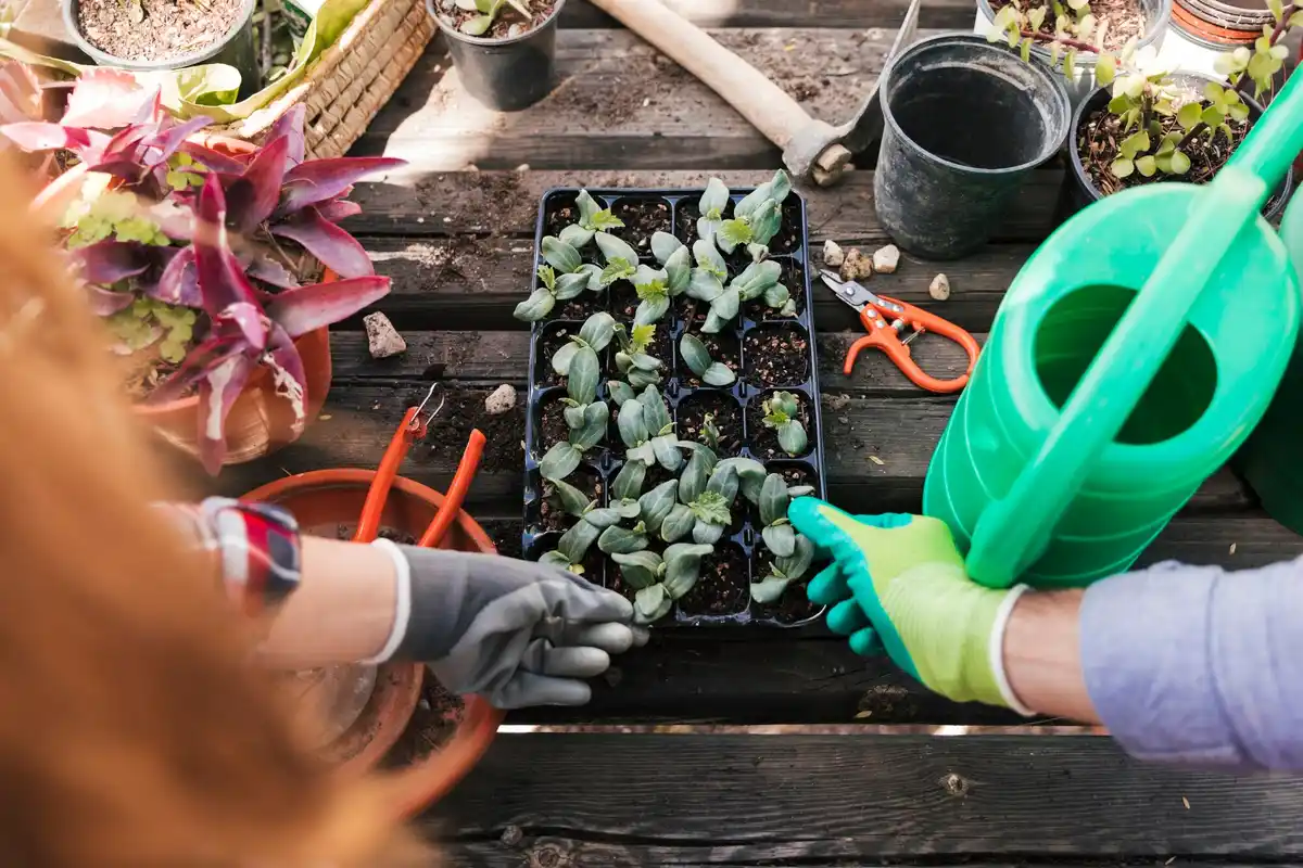 organic gardening home garden compost plants