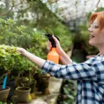 organic home garden natural pest control