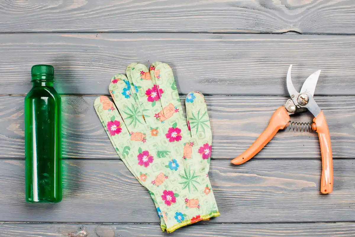 garden tools common mistakes